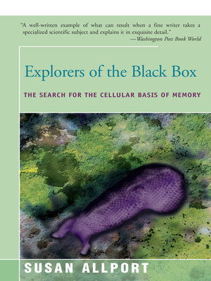 cover image of Explorers of the Black Box
